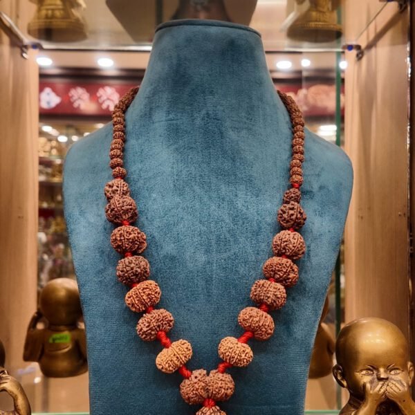 5 Mukhi Rudraksha Kantha