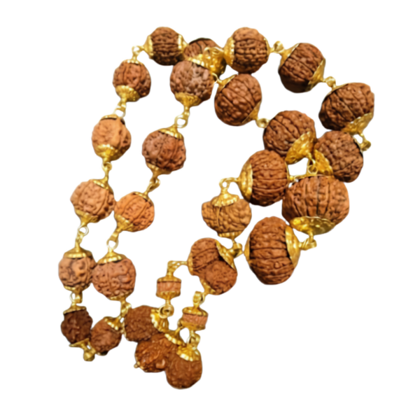 Natural 1 to 21 Mukhi Rudraksha Set